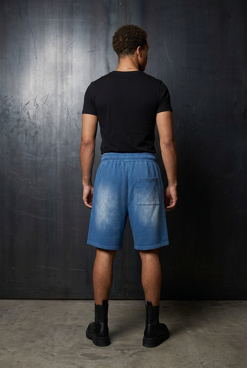 Washed Shorts Blue model back
